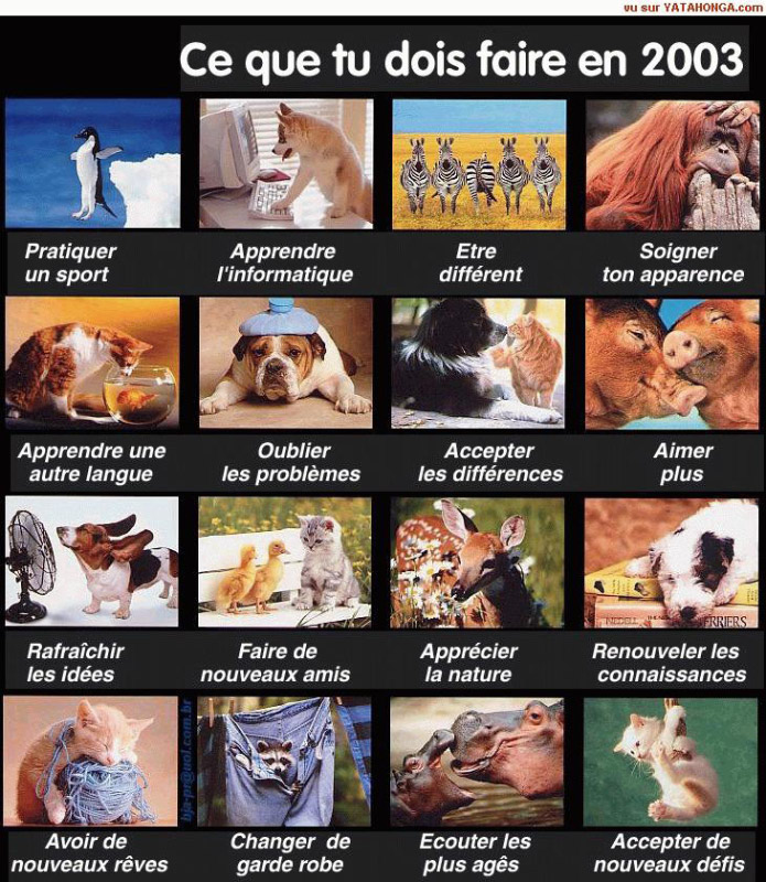 A_faire_en_2003-humourenvrac