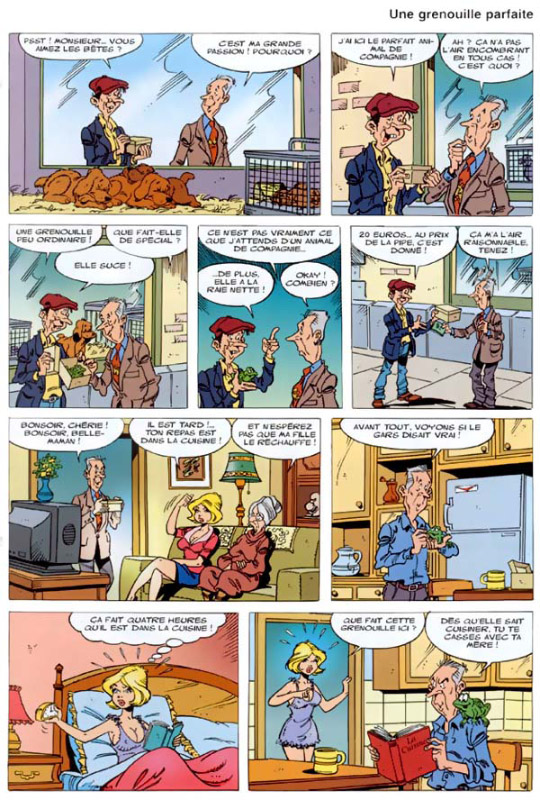 BD grenouille_parfaite-humourenvrac