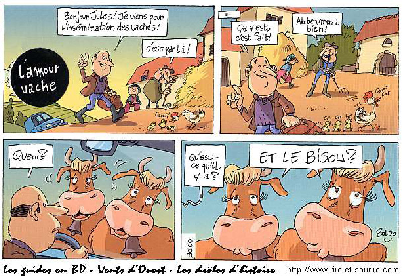 Lamour_vache-humourenvrac