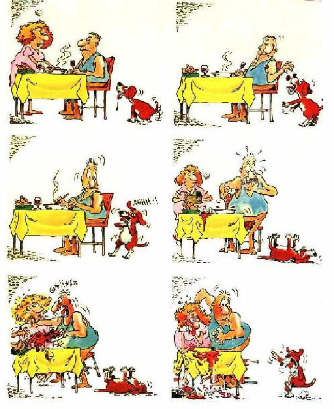 chien 0003-humourenvrac