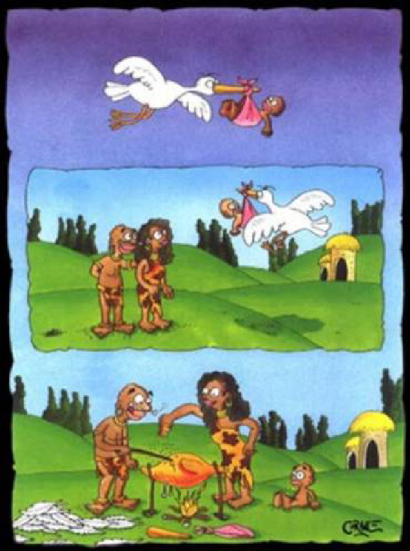 d-brochette-humourenvrac