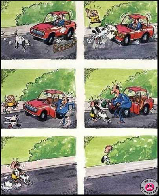 paflechien-humourenvrac