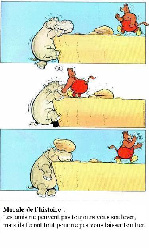 pic24005-humourenvrac