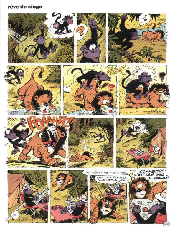 reve de singe-humourenvrac