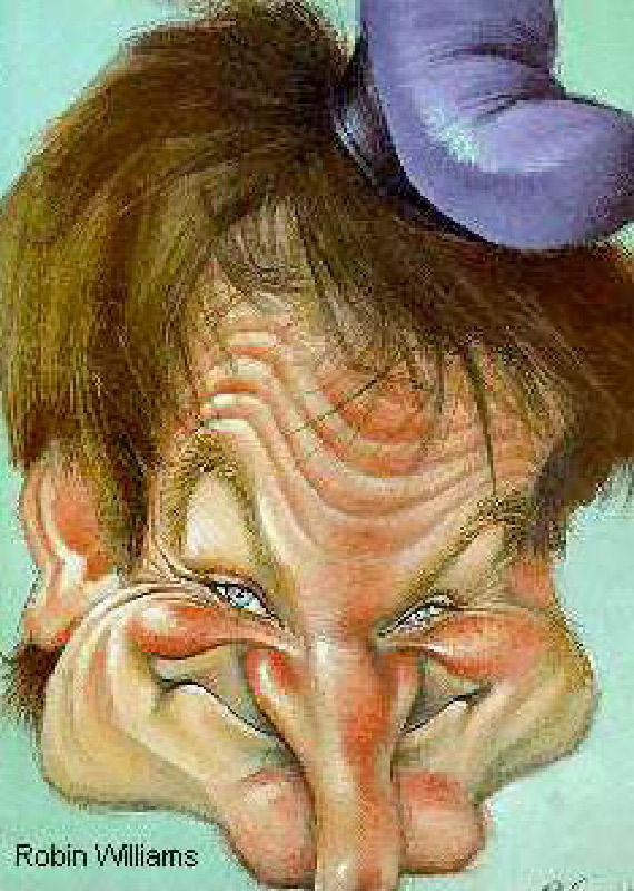 robin williams 2