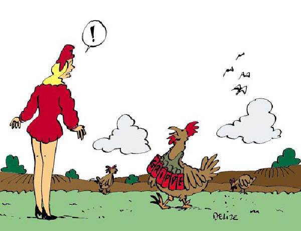 3845605342-humourenvrac