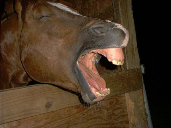 Aaaaaaaaaa-humourenvrac