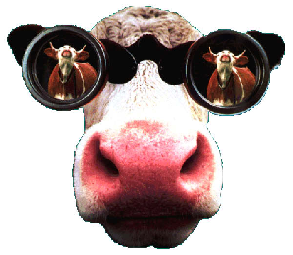 Bessie-humourenvrac-1