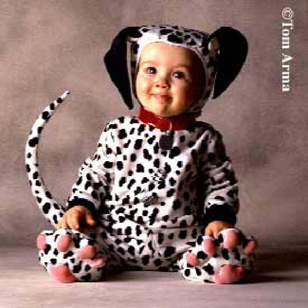 Dalmation-humourenvrac