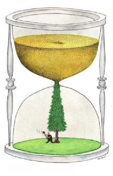 Deforestation-humourenvrac