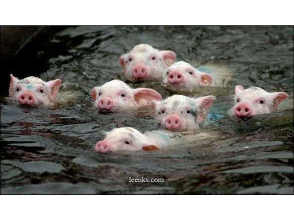 Diapositive2-humourenvrac