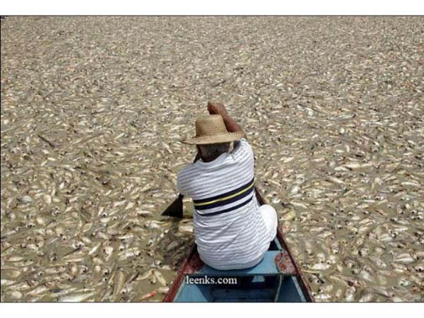 Diapositive3-humourenvrac