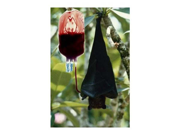 Diapositive7-humourenvrac