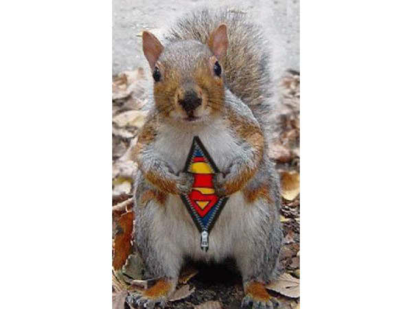 Diapositive9-humourenvrac