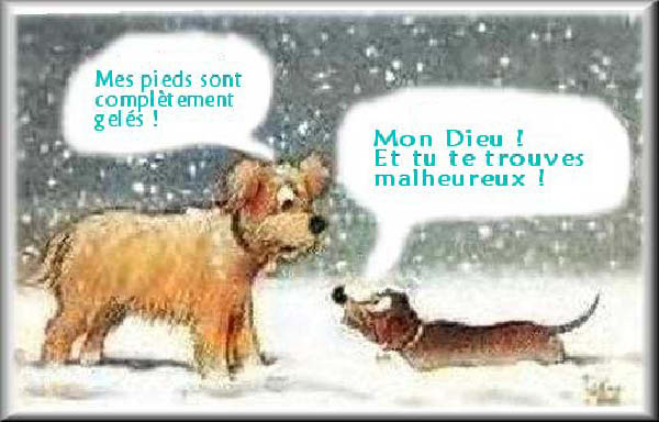 FREEZING-humourenvrac