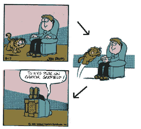 Garfield_plus_chaton-humourenvrac