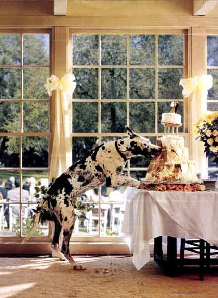 Hochzeitstorte-humourenvrac