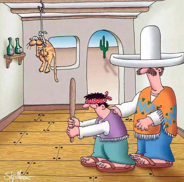 I_hate_cats_042-humourenvrac