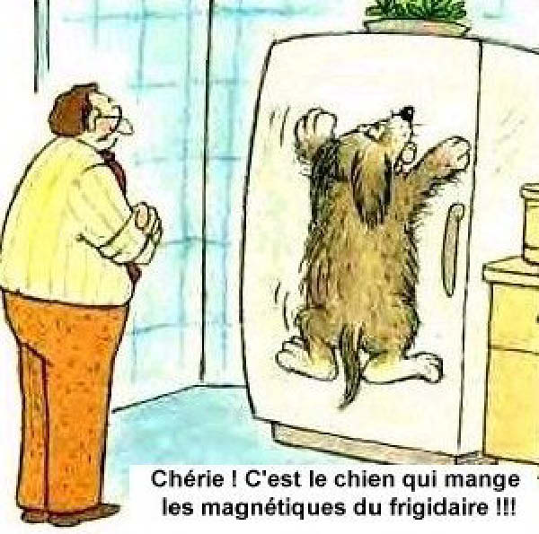 Magnets-humourenvrac