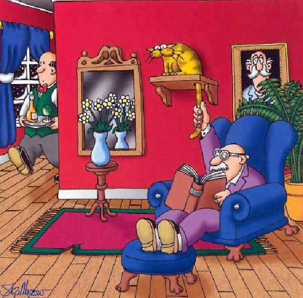 Morrow-BellCat-humourenvrac