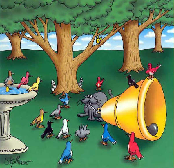 Morrow-BelledKitty-humourenvrac