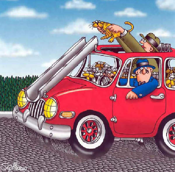 Morrow-CatSlider-humourenvrac