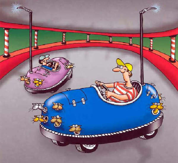 Morrow-PowerCats-humourenvrac