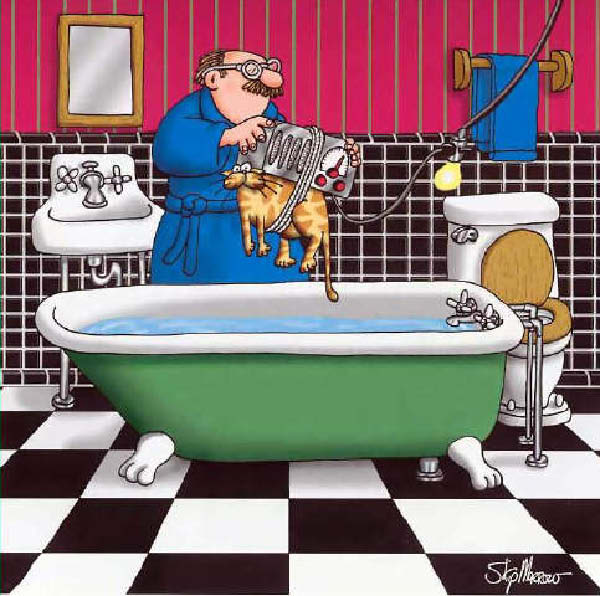 Morrow-ToasterCat-humourenvrac