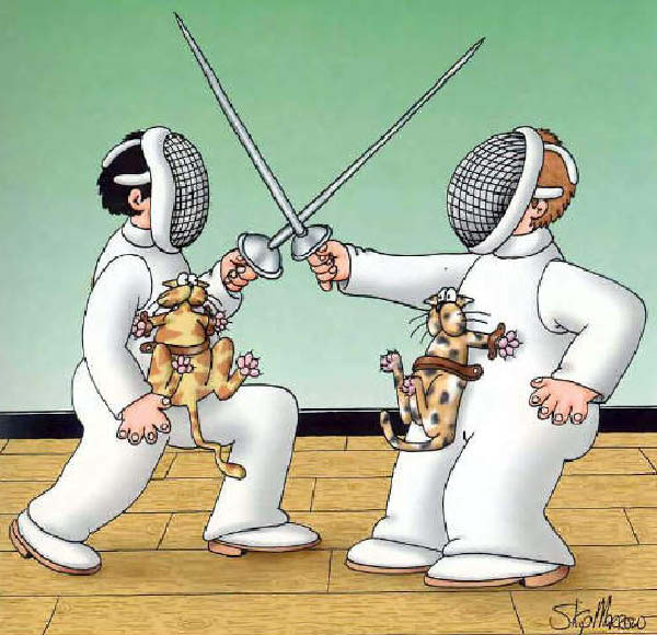 Morrow-ToucheCat-humourenvrac