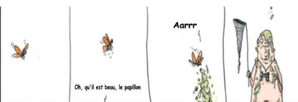 Papillon-humourenvrac