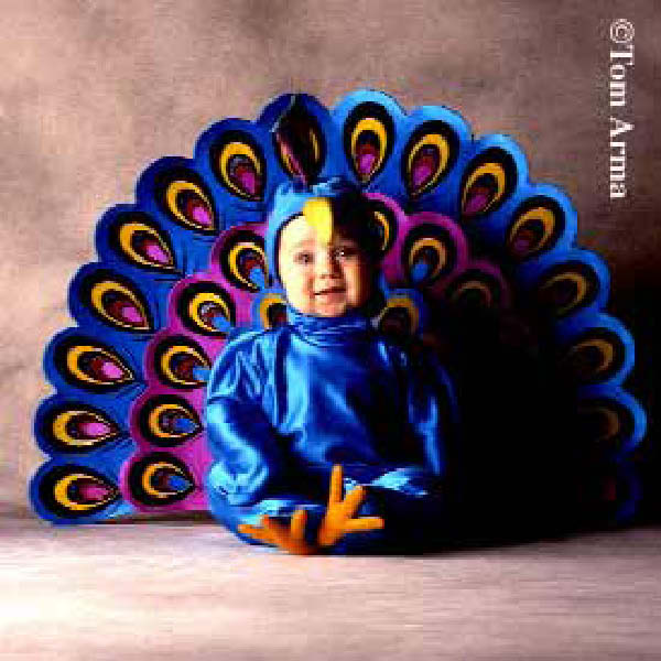 Peacock-humourenvrac