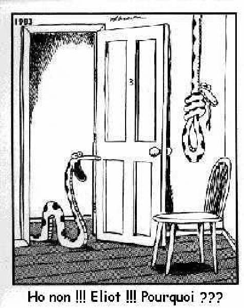 Pendaison-humourenvrac