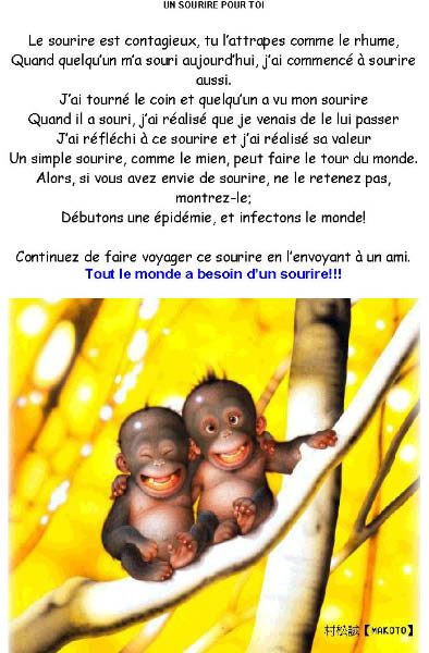 Souriresinge2-humourenvrac
