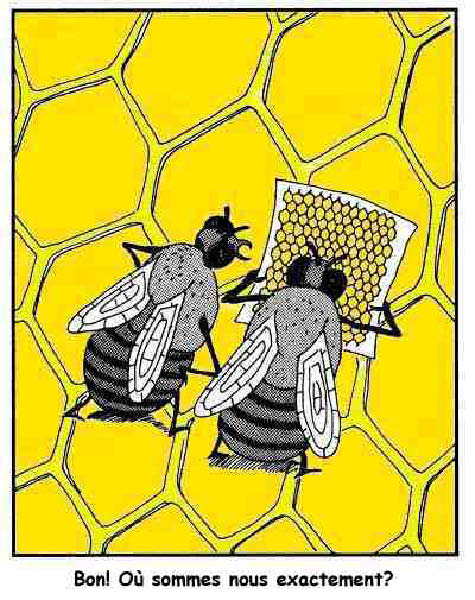 abeille-humourenvrac