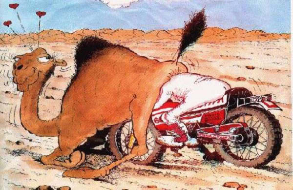 accident-humourenvrac