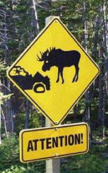 attention-foret-humourenvrac