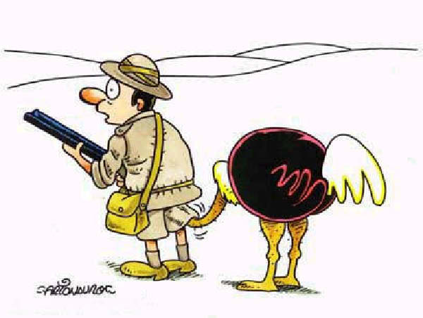 b-autruche-humourenvrac