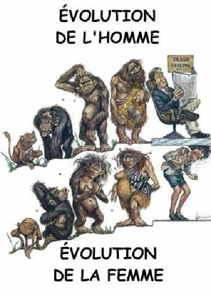 b-evolution-humourenvrac