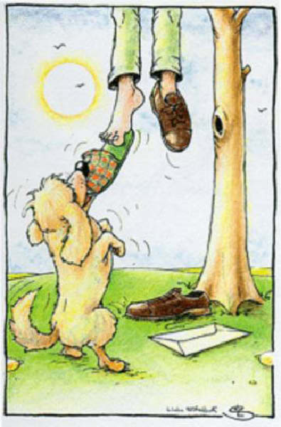 b-fidelite-humourenvrac