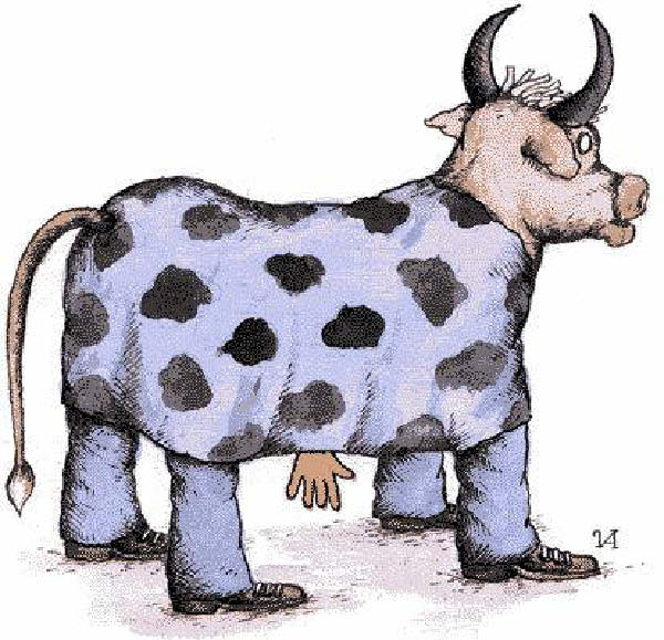 b-taure-humourenvrac