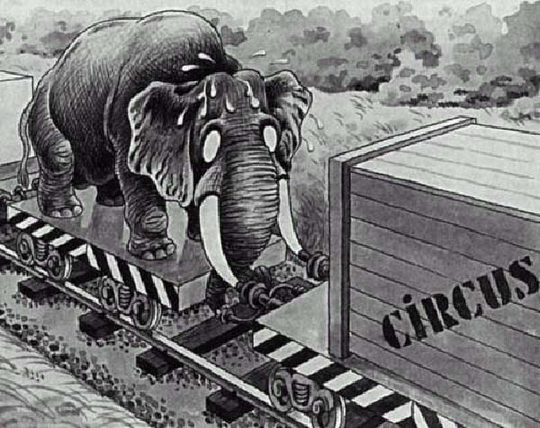 b-transport-humourenvrac