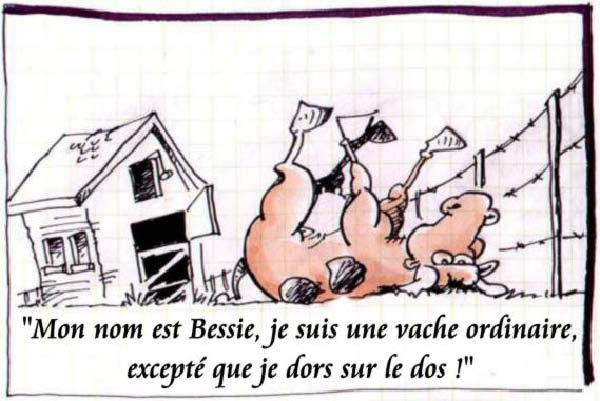 bessie-humourenvrac