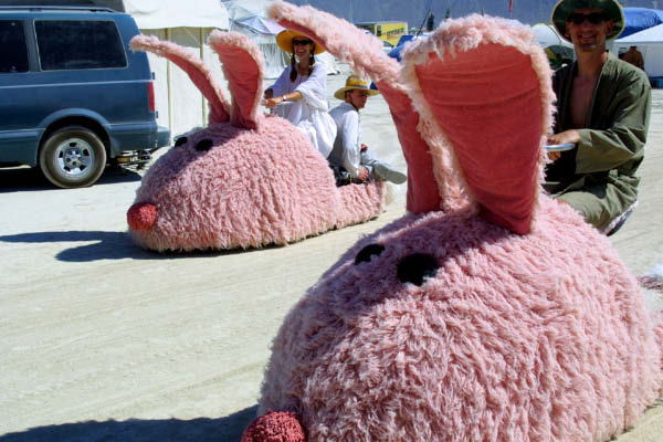 bunny-art-cars-humourenvrac
