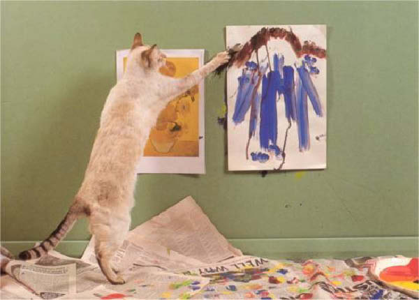 c-artiste-humourenvrac