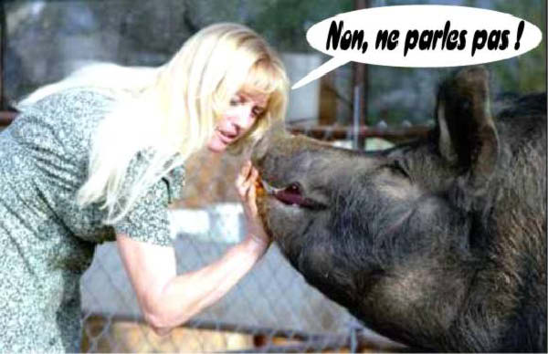 c-blonde-humourenvrac