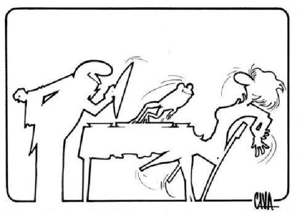 c-grenouille-humourenvrac