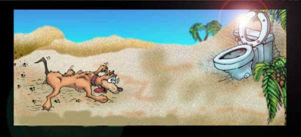 c-oasis-humourenvrac