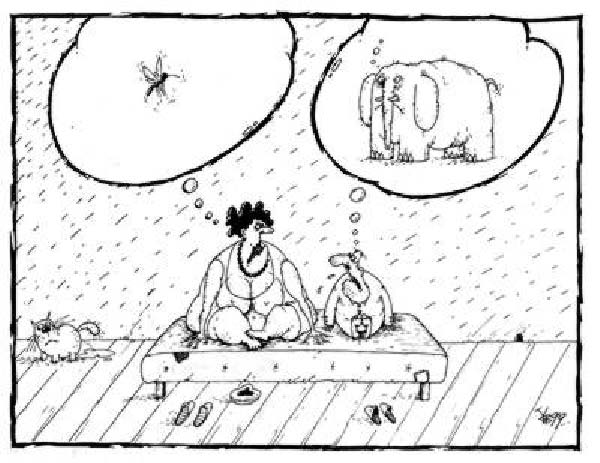 c-opinions-humourenvrac