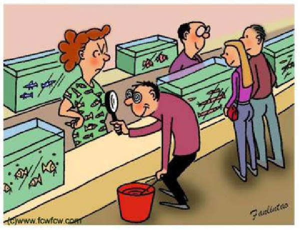 c-poissons-humourenvrac