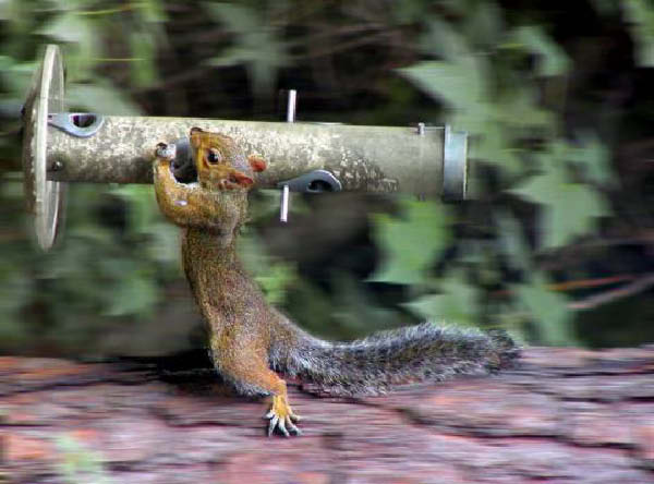 cambrioleur-humourenvrac